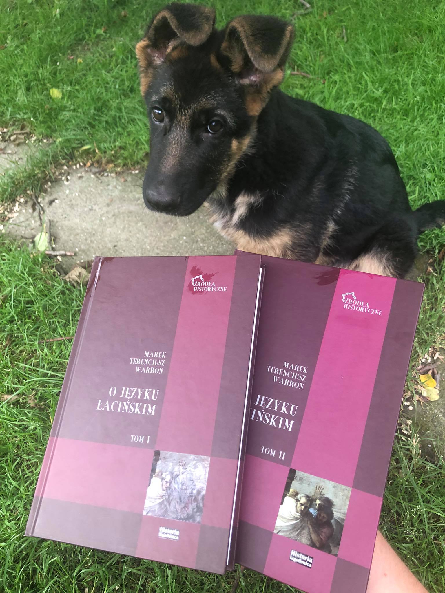 Wznowienia wydań autorów antycznych